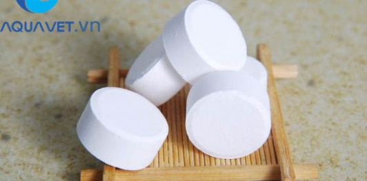 Trichloroisocyanuric Acid là gì